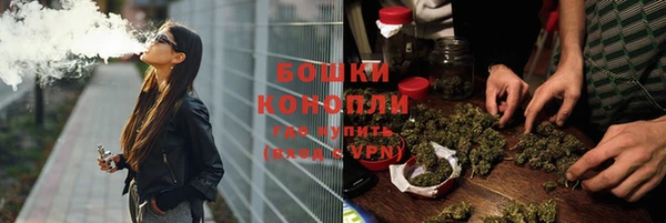 PSILOCYBIN Майский