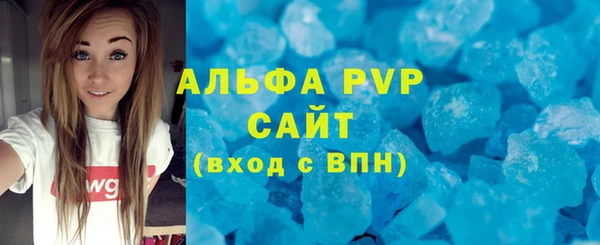 PSILOCYBIN Майский