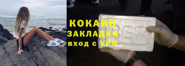 PSILOCYBIN Майский