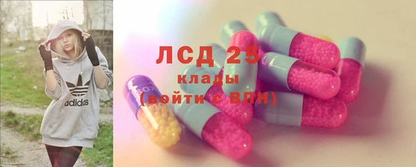 сатива Магас