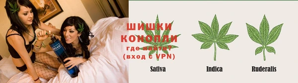 сатива Магас