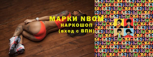 сатива Магас