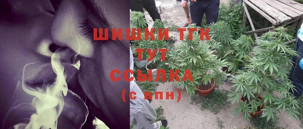 PSILOCYBIN Майский