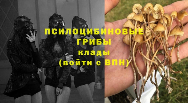 сатива Магас