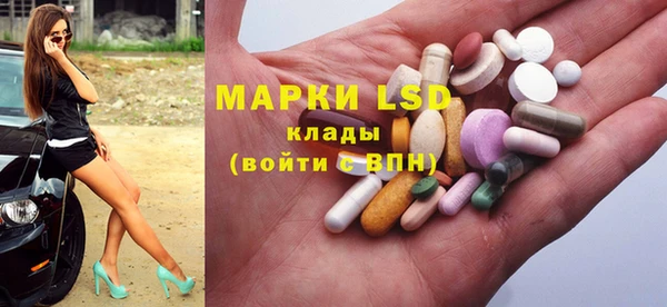 PSILOCYBIN Майский