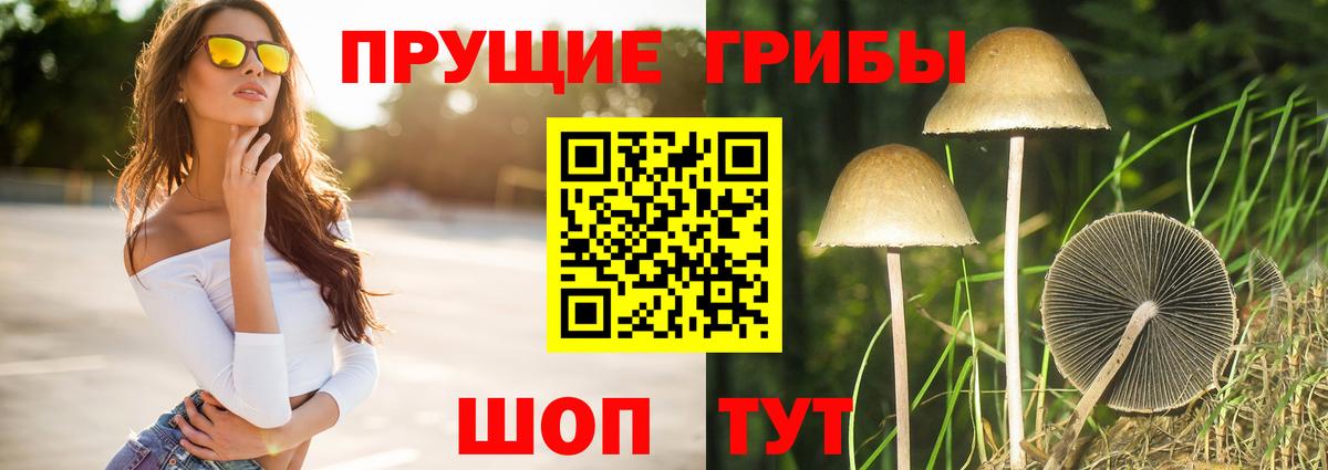 Тюмень  Галлюциногенные грибы Psilocybine cubensis  Вход с VPN  Галлюциногенные грибы Cubensis 